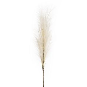 Dekoračný kvet 100 cm, dĺžka trávy 60 cm krémová