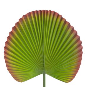 Dekoračný kvet 55 cm, list 22 cm zelená