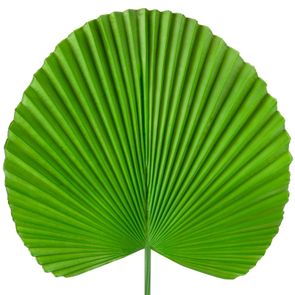 Dekoračný kvet 38 cm, zelená